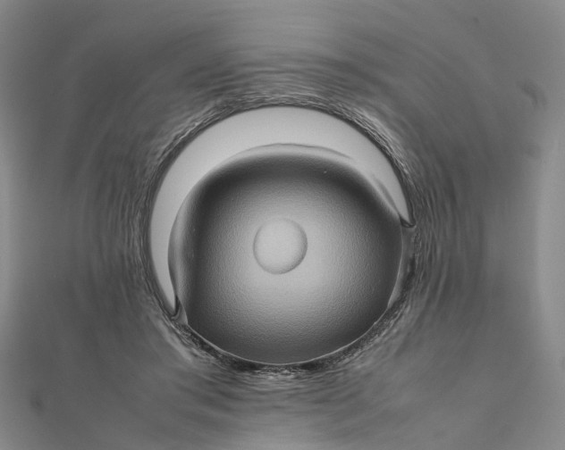 X0000112090405200908251132