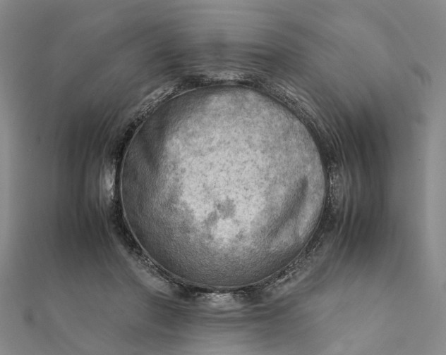 X0000112090406200908251132