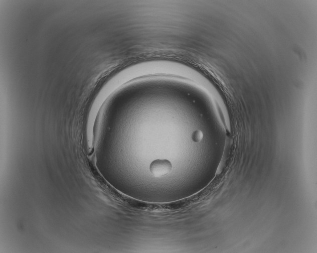 X0000112090407200908251132