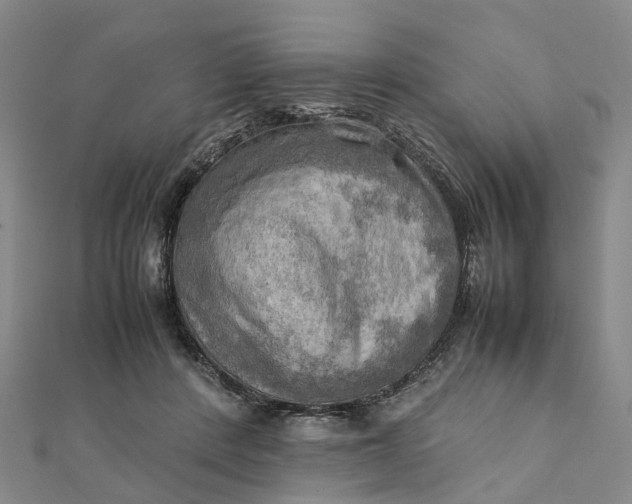 X0000112090408200908251132