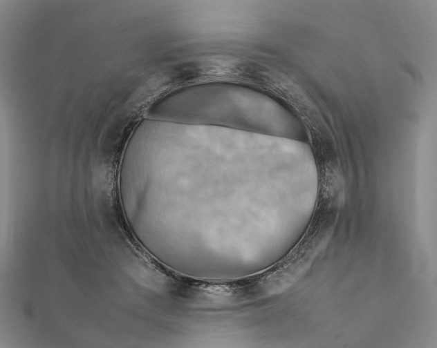 X0000112090409200908251132