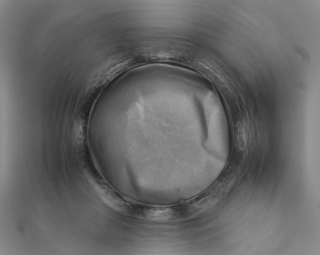X0000112090410200908251131