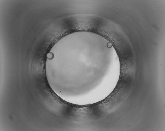 X0000112090411200908251131