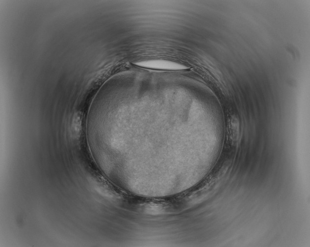 X0000112090412200908251131