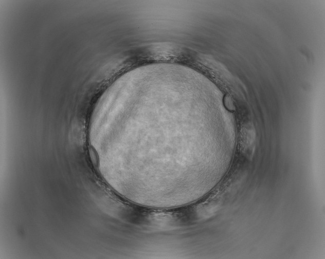 X0000112090413200908251131