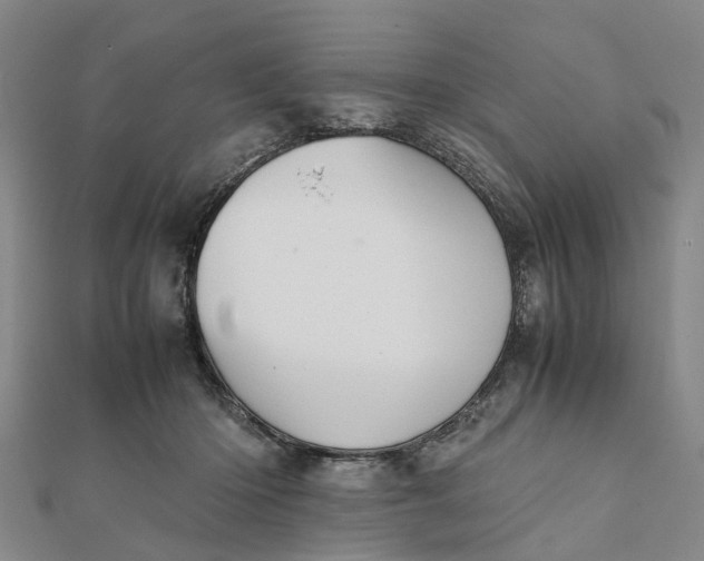 X0000112090414200908251131