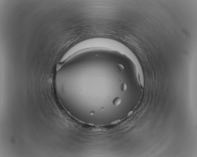 X0000112090415200908251131