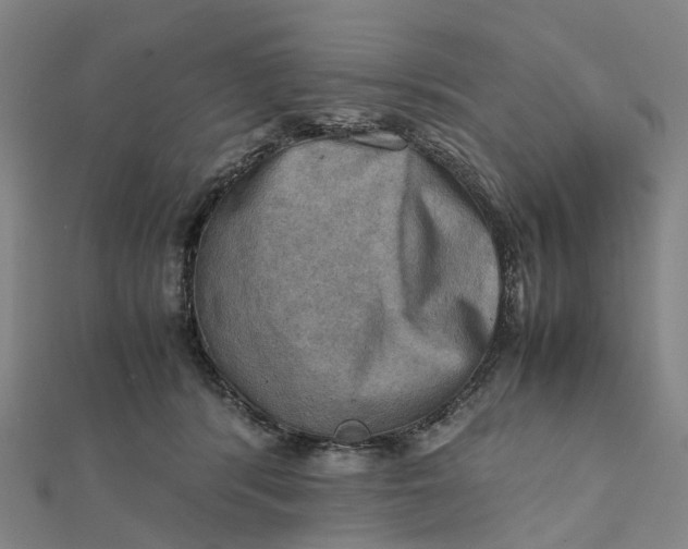 X0000112090416200908251131