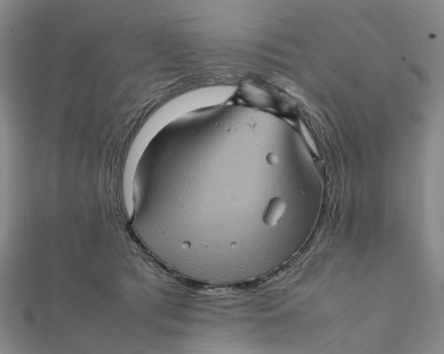 X0000112090417200908251131