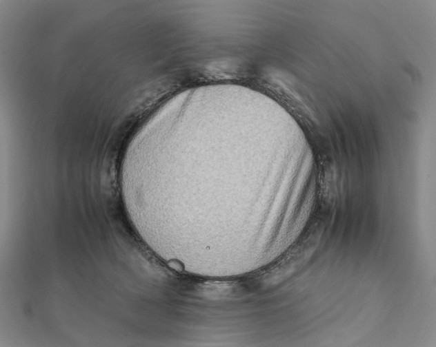 X0000112090418200908251131