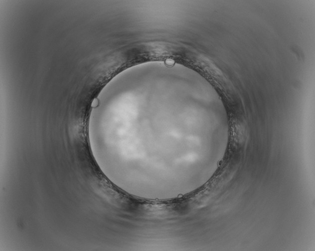 X0000112090419200908251131