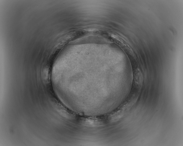 X0000112090420200908251131