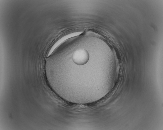 X0000112090421200908251131