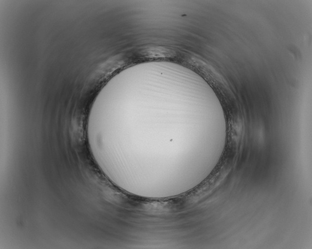 X0000112090422200908251131
