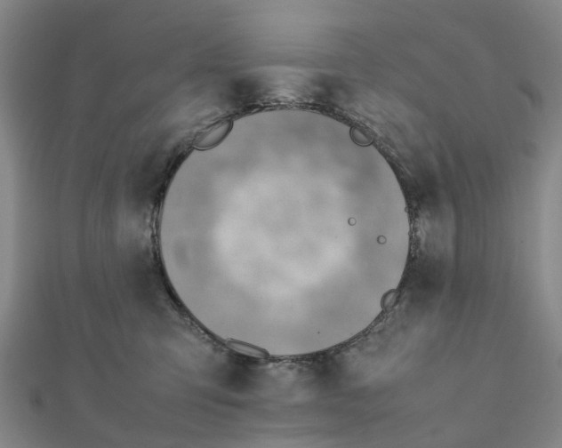 X0000112090423200908251131