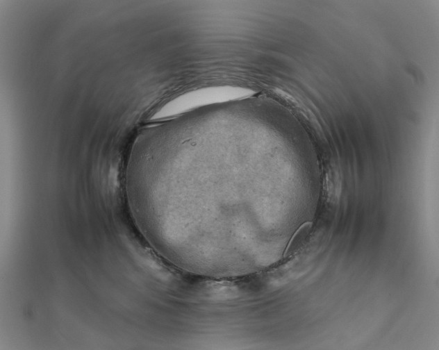 X0000112090424200908251131