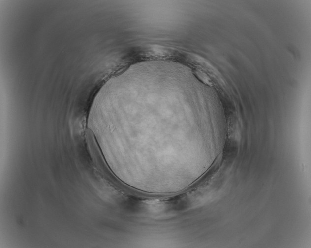X0000112090425200908251131