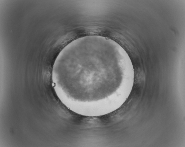 X0000112090427200908251131
