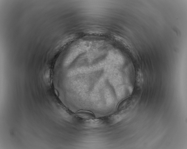X0000112090428200908251131