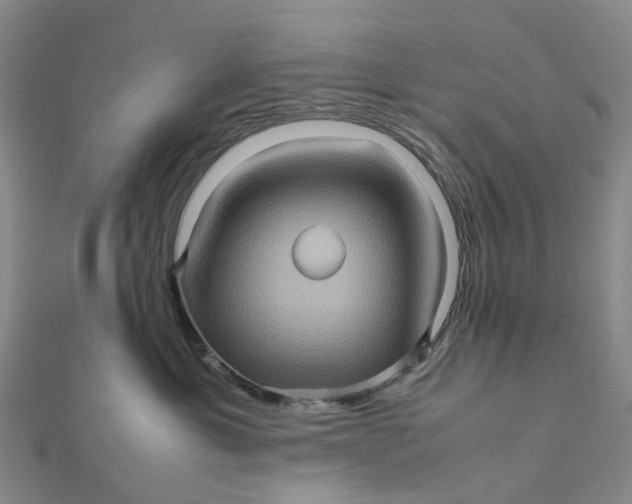 X0000112090429200908251131