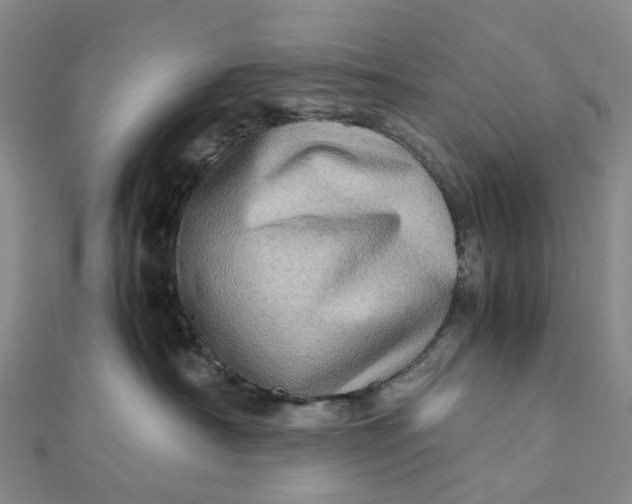 X0000112090430200908251131