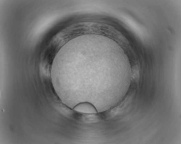 X0000112090431200908251131