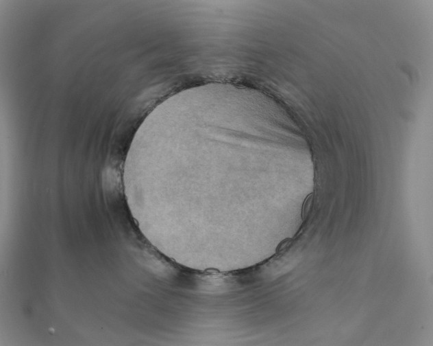 X0000112090432200908251131