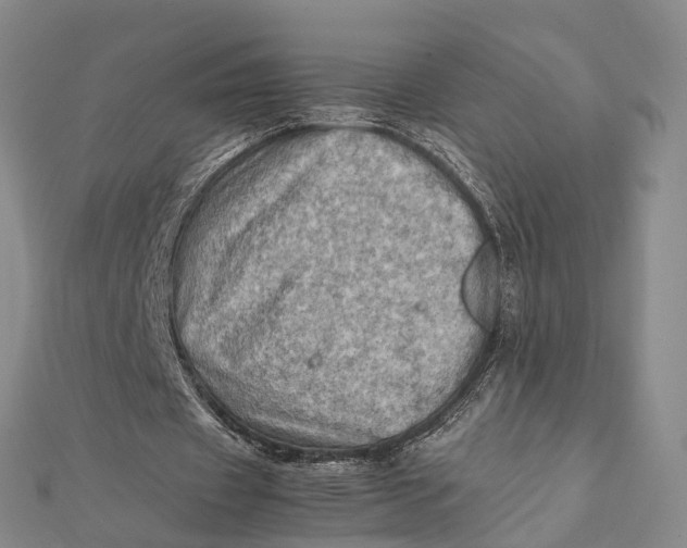 X0000112090433200908251131