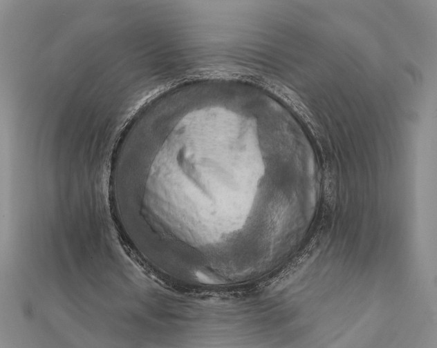 X0000112090434200908251131