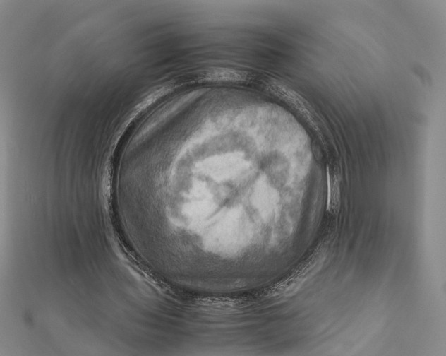 X0000112090435200908251131