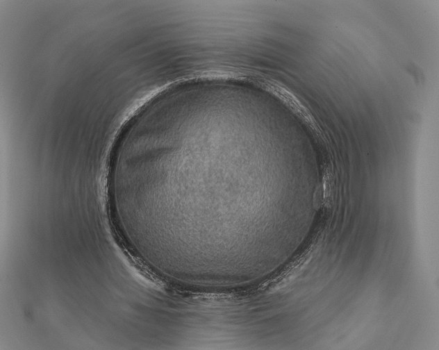 X0000112090436200908251131