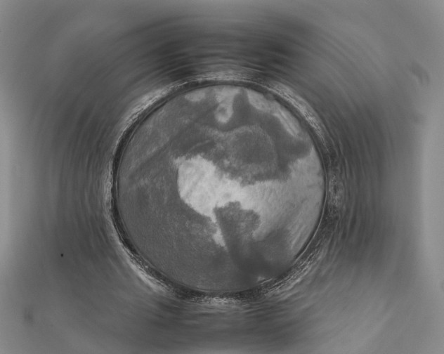X0000112090437200908251131
