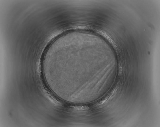 X0000112090439200908251131