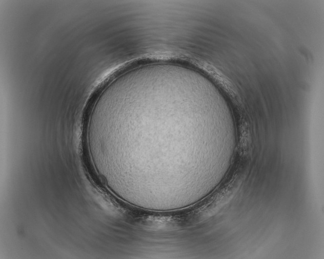 X0000112090440200908251131