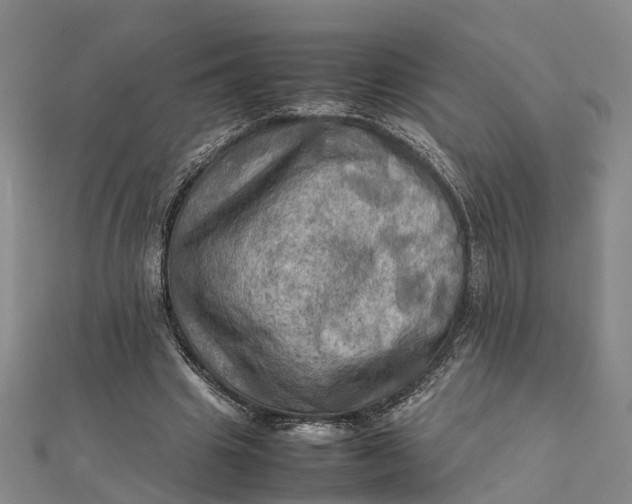 X0000112090441200908251131