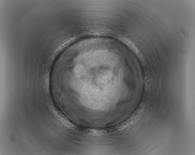 X0000112090442200908251131
