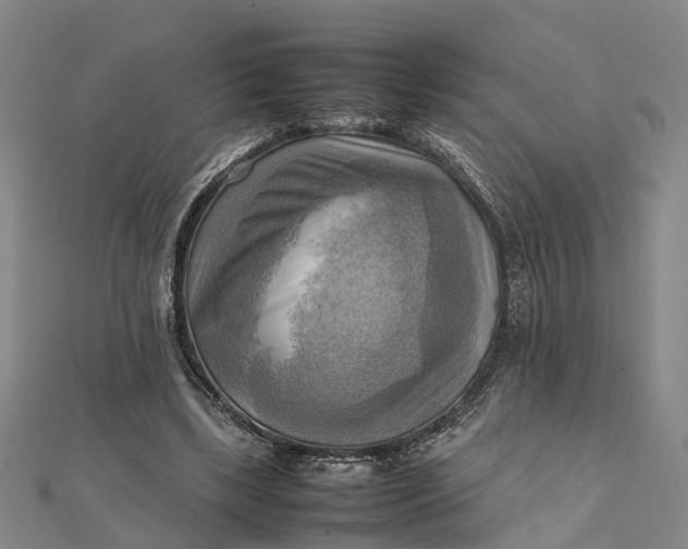 X0000112090443200908251131