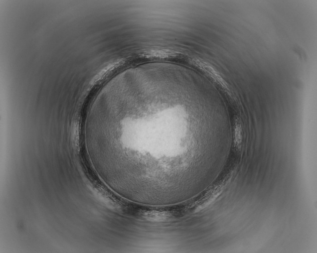 X0000112090444200908251131