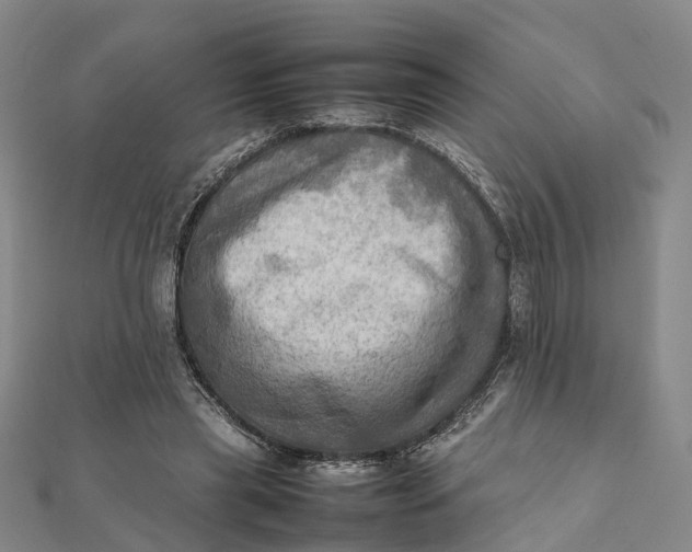 X0000112090445200908251131