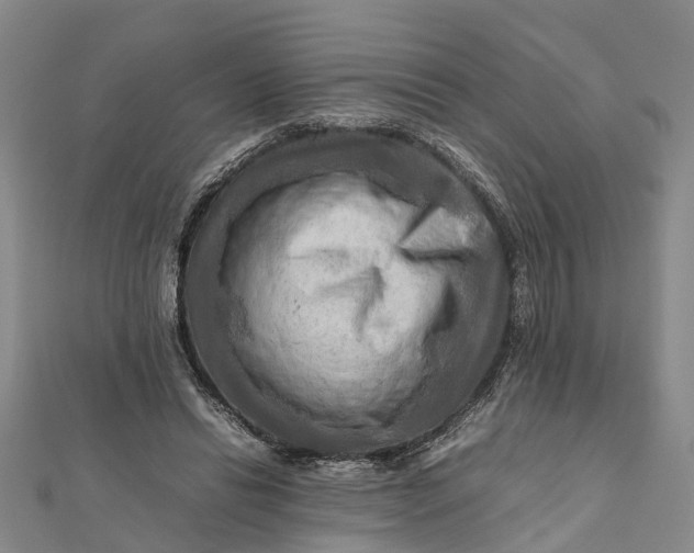 X0000112090446200908251131