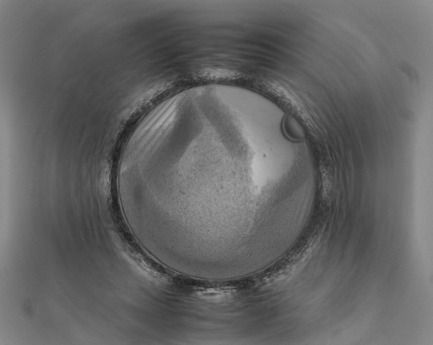 X0000112090447200908251131