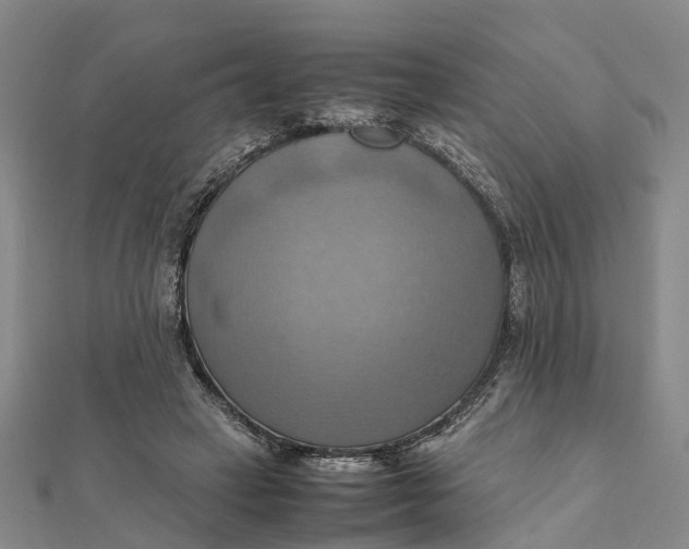 X0000112090449200908251131