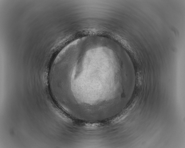 X0000112090450200908251131