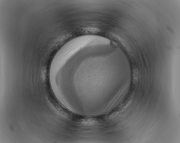 X0000112090451200908251131