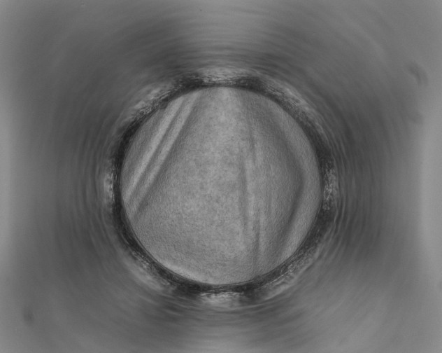 X0000112090452200908251131