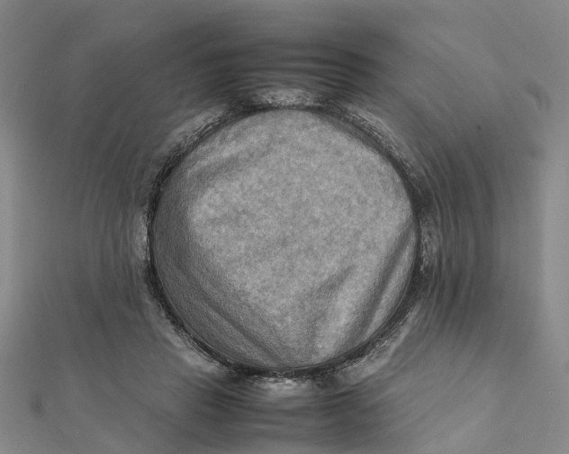X0000112090453200908251131