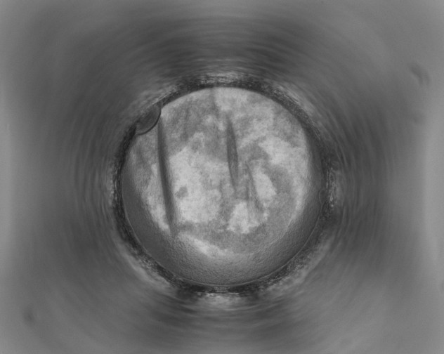 X0000112090455200908251131