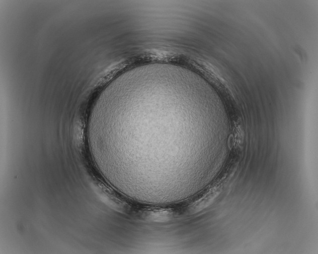 X0000112090456200908251131
