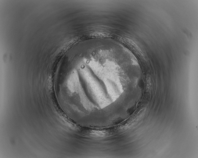 X0000112090457200908251131
