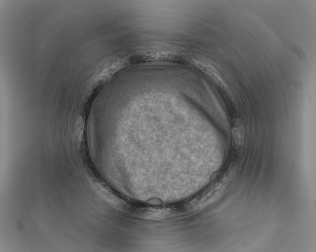X0000112090458200908251131